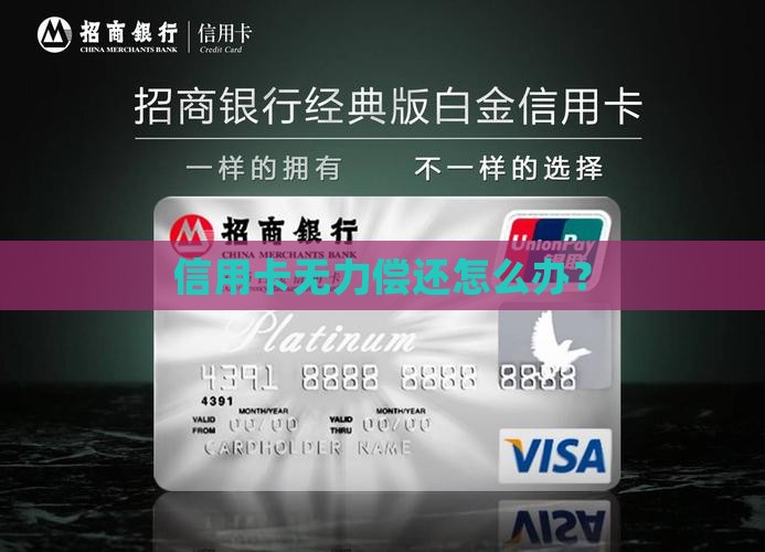 人行信用卡无力偿还本金