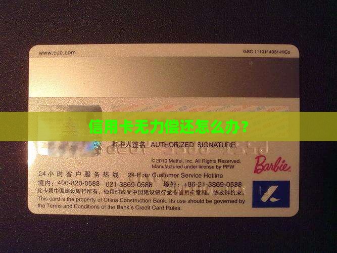 人行信用卡无力偿还本金