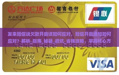 发来短信说欠款开庭该如何应对