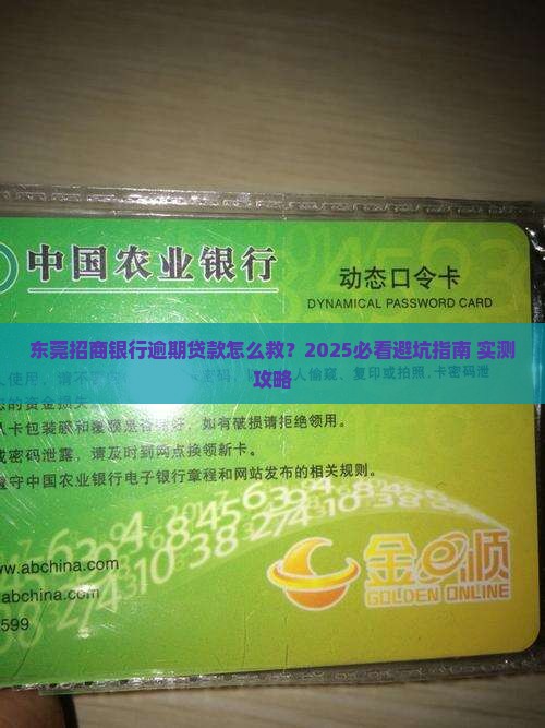 东莞招商银行逾期贷款如何咨询