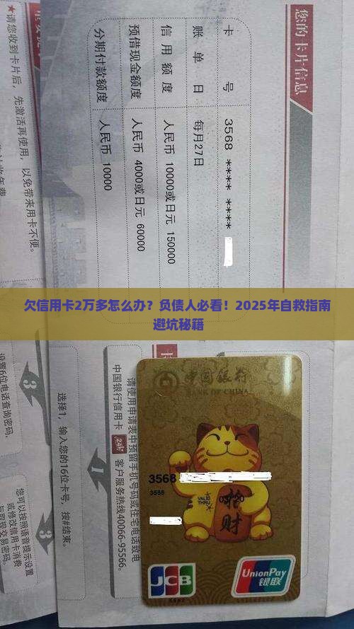 欠信用卡2万多怎么办6