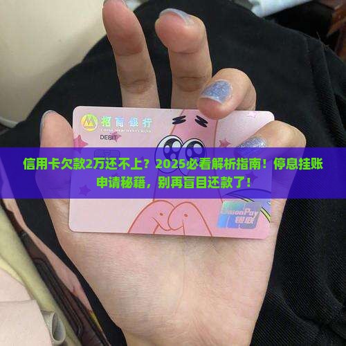 2w多信用卡还不上能申请停息挂账吗如何解决
