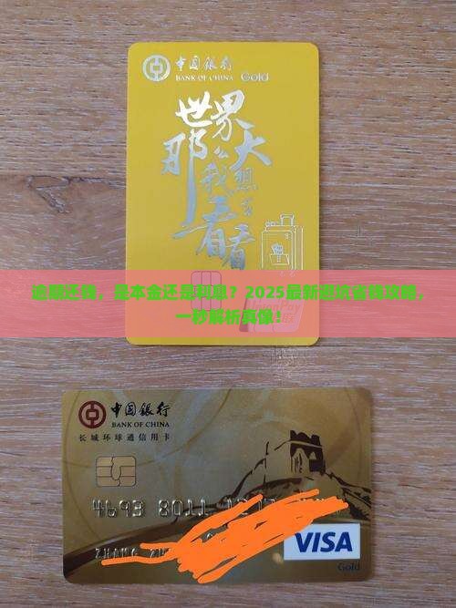 白条逾期还款是本金还是利息
