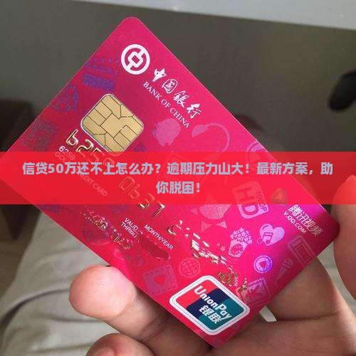信贷50万还不上怎么办