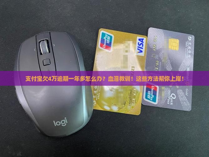 支付宝欠4万逾期一年多如何解决