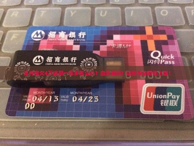 支付宝欠4万逾期一年多如何解决