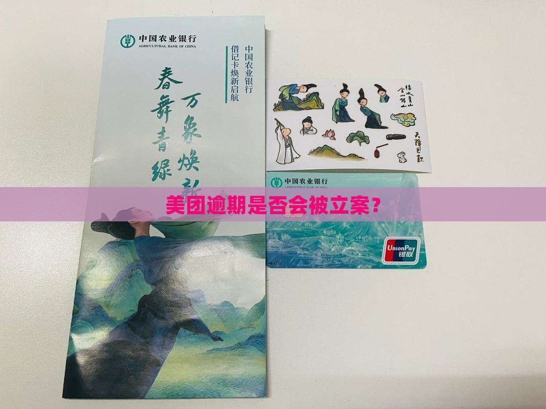 美团金融逾期立案吗
