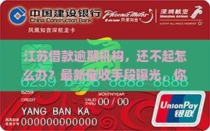 江苏借款逾期机构