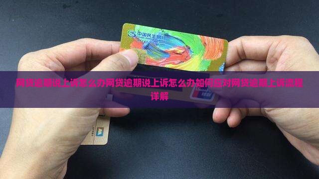 网贷逾期说上诉怎么办