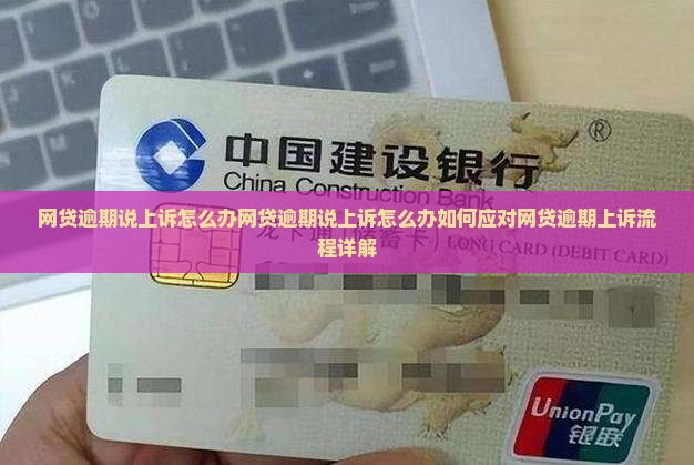 网贷逾期说上诉怎么办