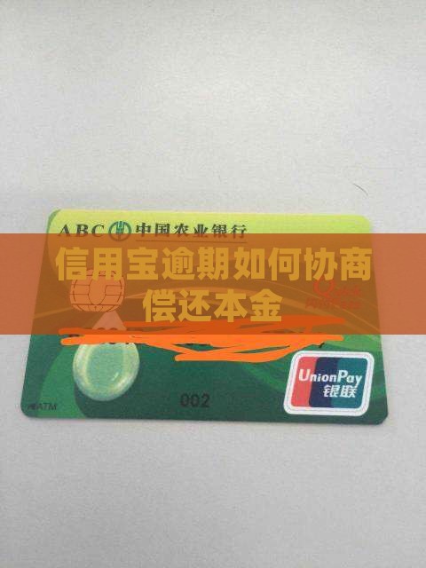 信用宝逾期还本金