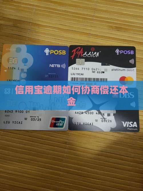 信用宝逾期还本金