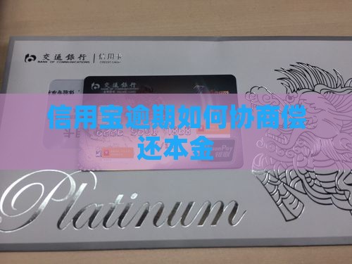 信用宝逾期还本金