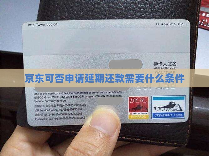 京东白条可否申请延期还款需要什么条件