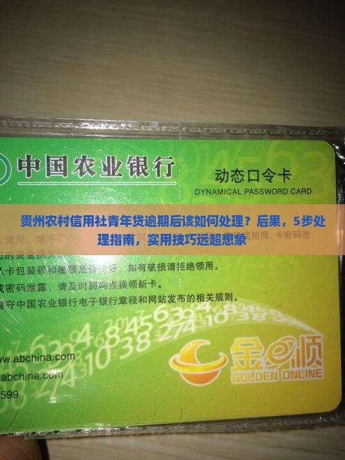贵州农村信用社青年贷逾期后该如何处理