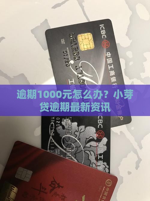 小芽贷逾期1000元怎么办