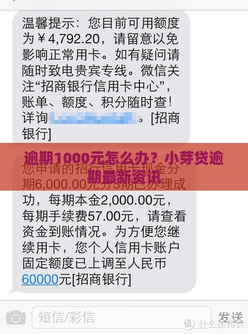 小芽贷逾期1000元怎么办