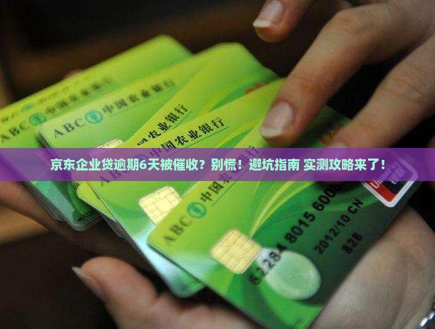 京东企业贷逾期6天催收该怎么办