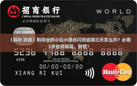 小雨点闪贷逾期三天该怎么办