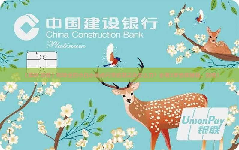 小雨点闪贷逾期三天该怎么办