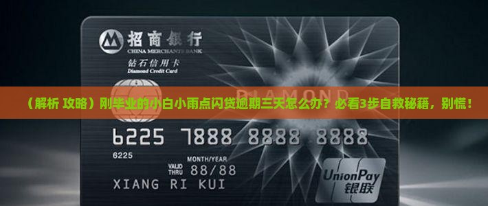 小雨点闪贷逾期三天该怎么办