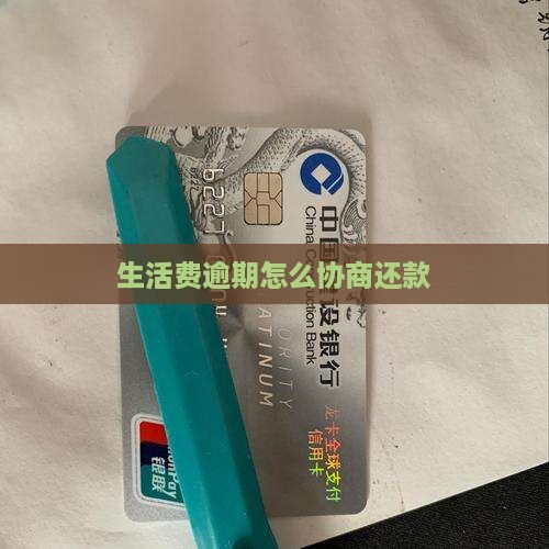 美团生活费逾期如何进行第三方协商
