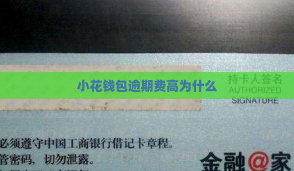 小花钱包逾期费高为什么