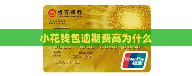 小花钱包逾期费高为什么