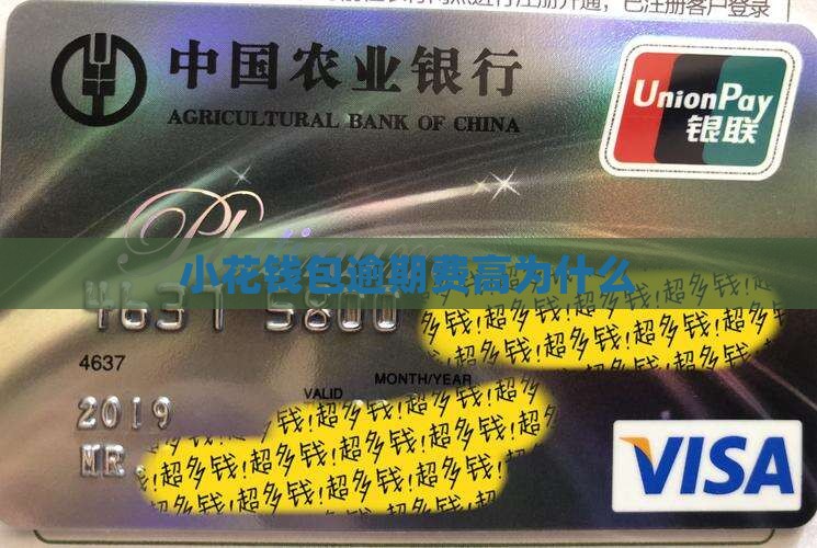 小花钱包逾期费高为什么