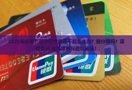 如何处理苏宁任性贷还不起能分期吗问题