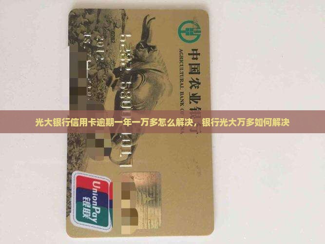 光大银行信用卡逾期一年一万多怎么解决