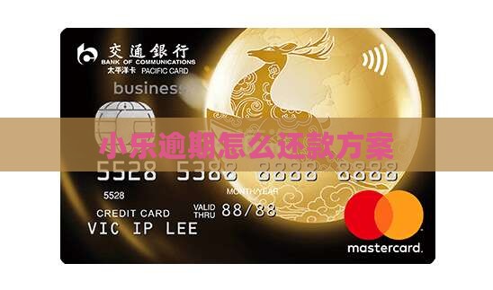 钱小乐逾期方案