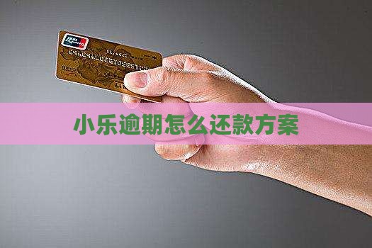 钱小乐逾期方案