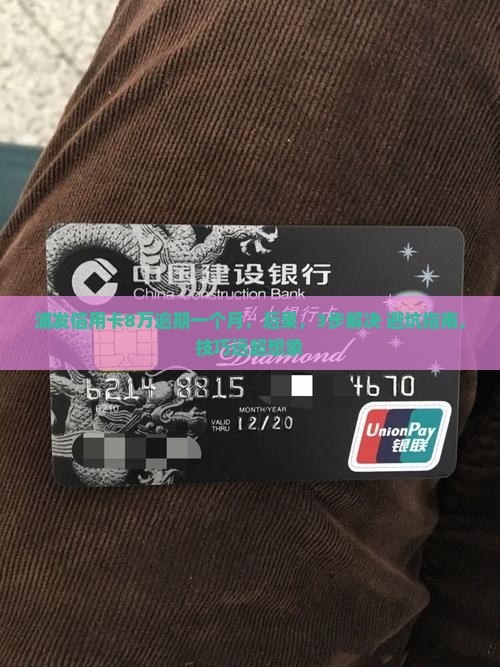 浦发信用卡8万逾期一个月