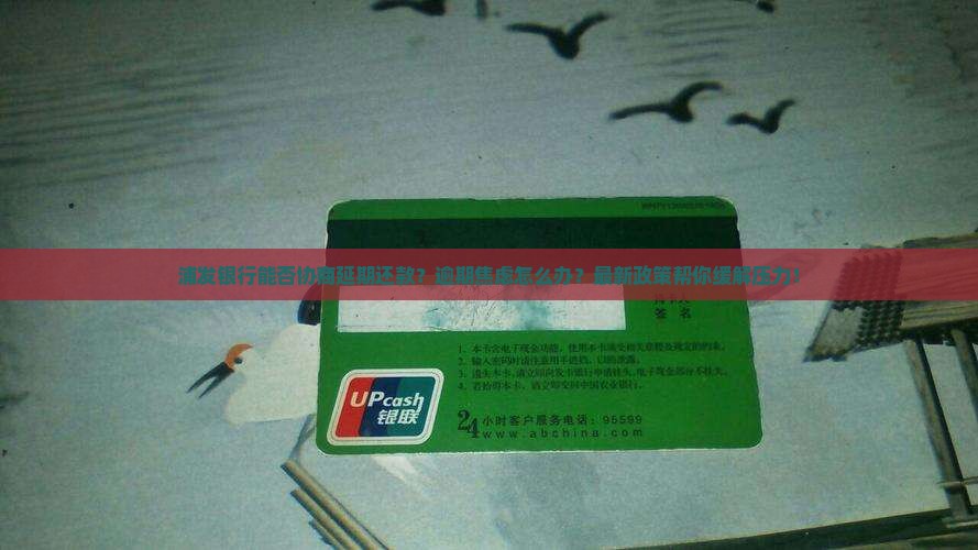 浦发银行能否协商延期还款