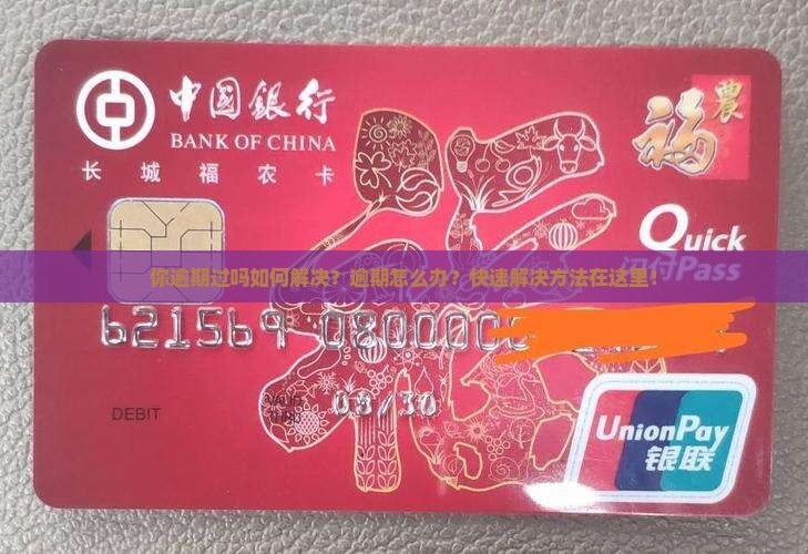 你逾期过360借条吗如何解决