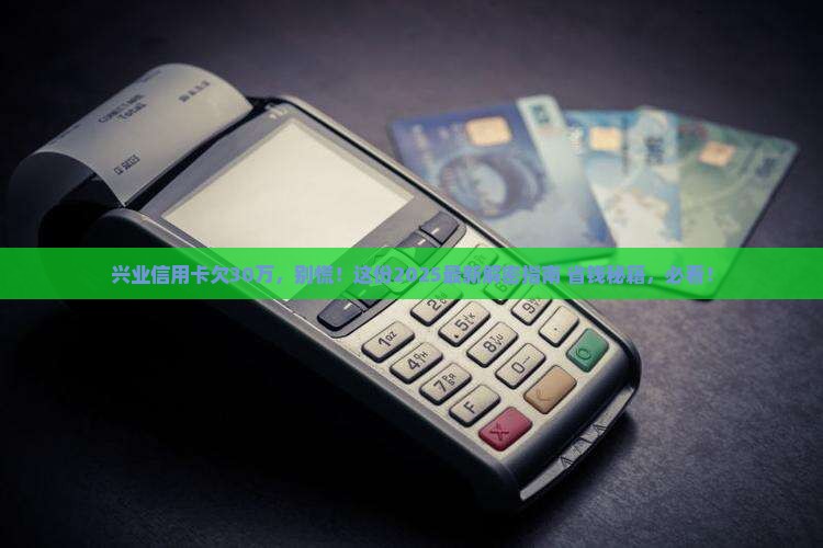 兴业信用卡欠30万怎么办