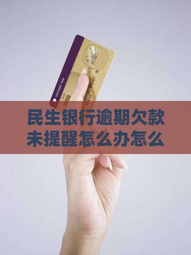 民生银行逾期欠款未提醒怎么办
