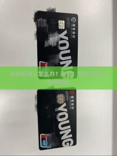 点贷逾期会怎么样如何解决