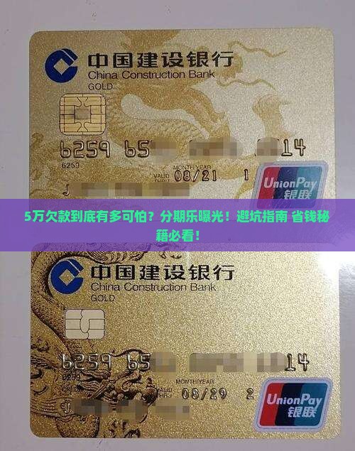 分期乐欠5万元