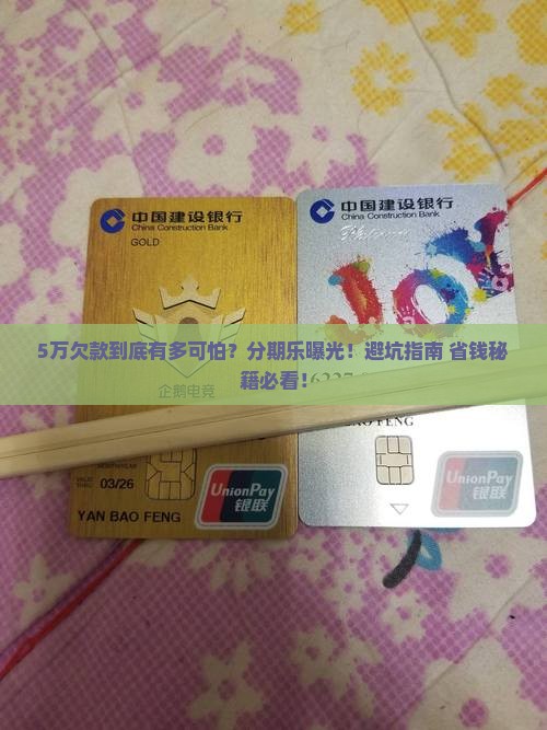 分期乐欠5万元