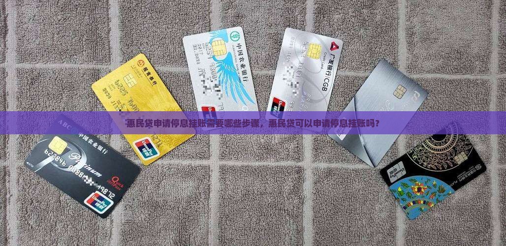 惠民贷申请停息挂账需要哪些步骤