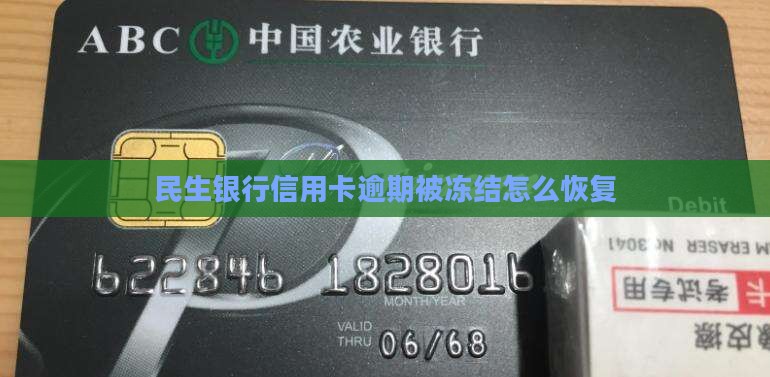 民生银行信用卡逾期被冻结怎么办