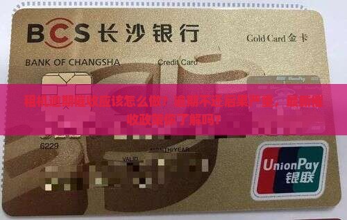 租机逾期催收应该怎么做