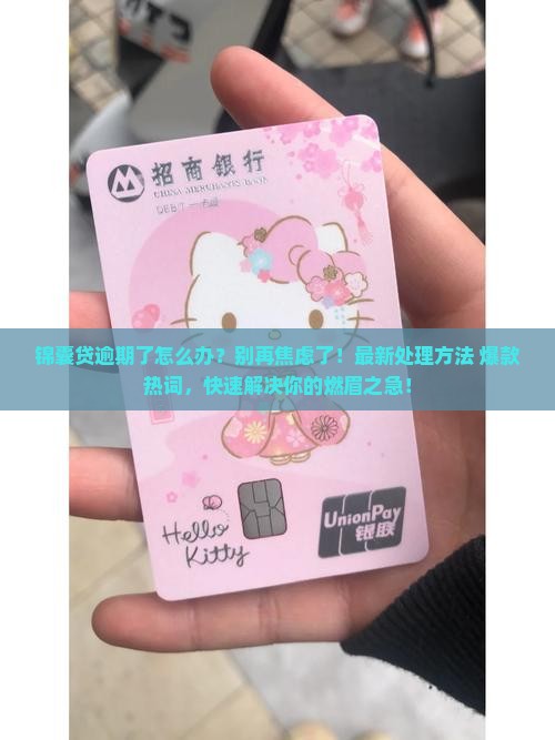 锦囊贷逾期了怎么办处理方法分享