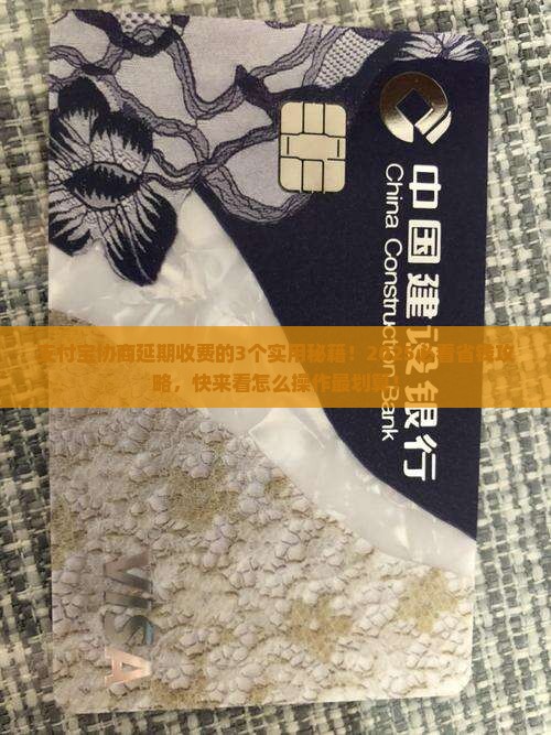 支付宝怎么协商延期收费的方法有哪些