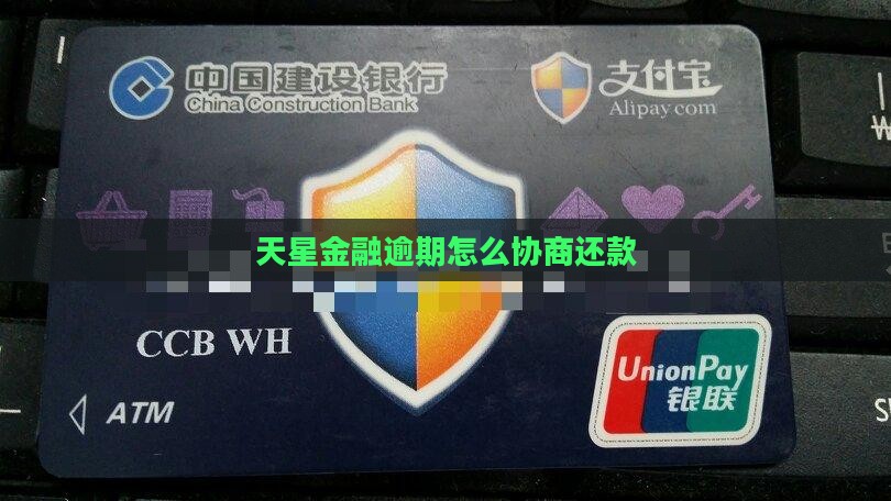天星金融如何联系协商