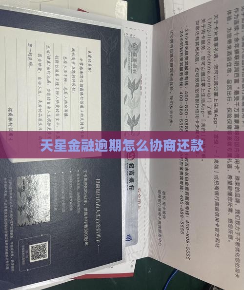 天星金融如何联系协商