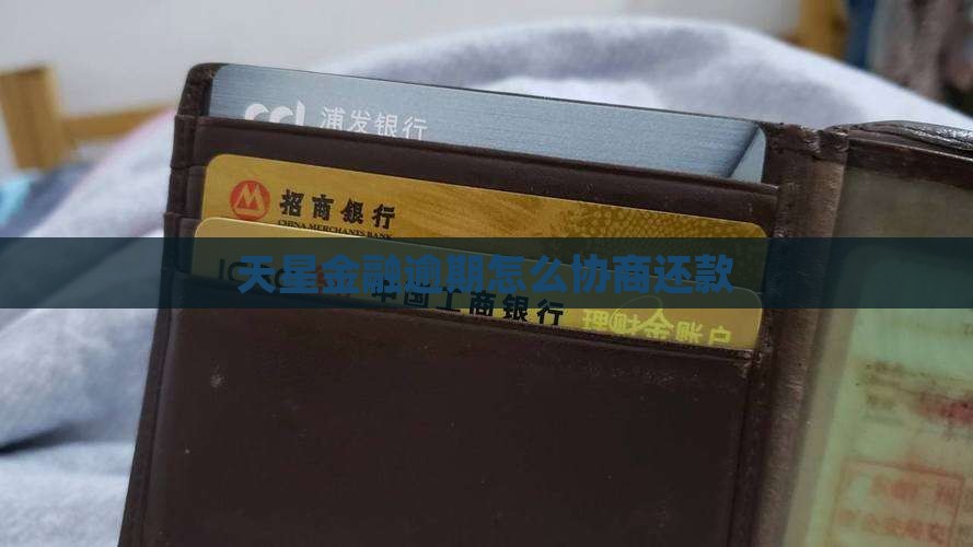 天星金融如何联系协商