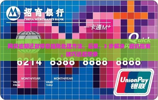 网贷逾期还款停息挂账处理方法